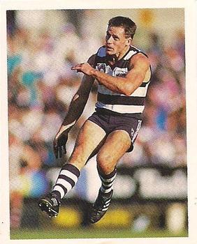 1993 Select AFL Stickers #129 Andrew Bews Front